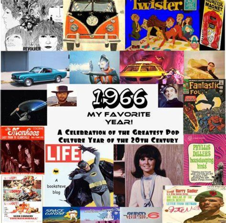 1966 My Favorite Year Born in '66