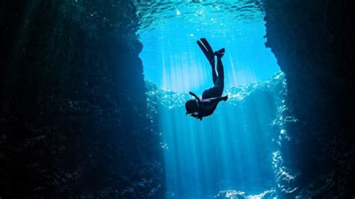 A Deep Dive Into The Entrepreneur's Fortune