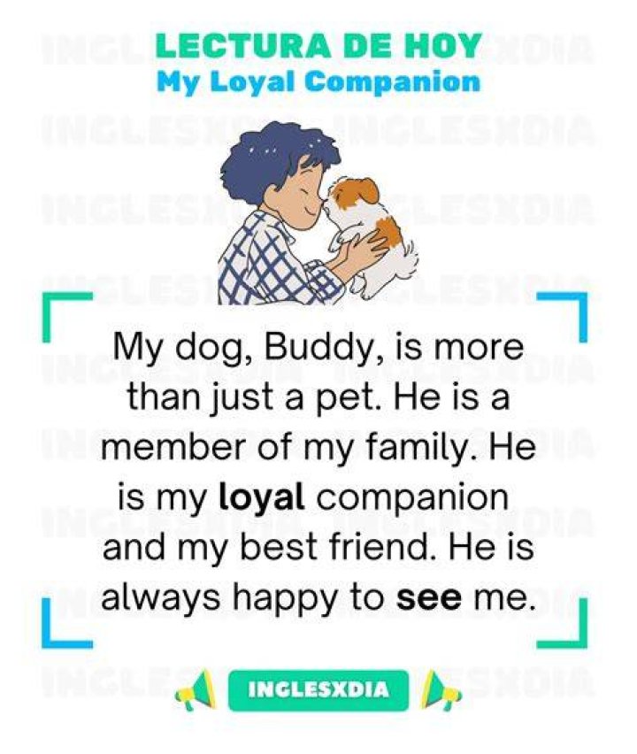 A Loyal Companion And Family Member