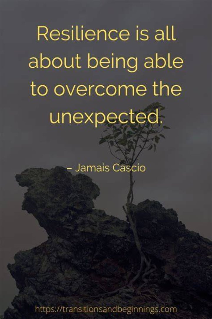 A Picture Of Resilience And Inspiration