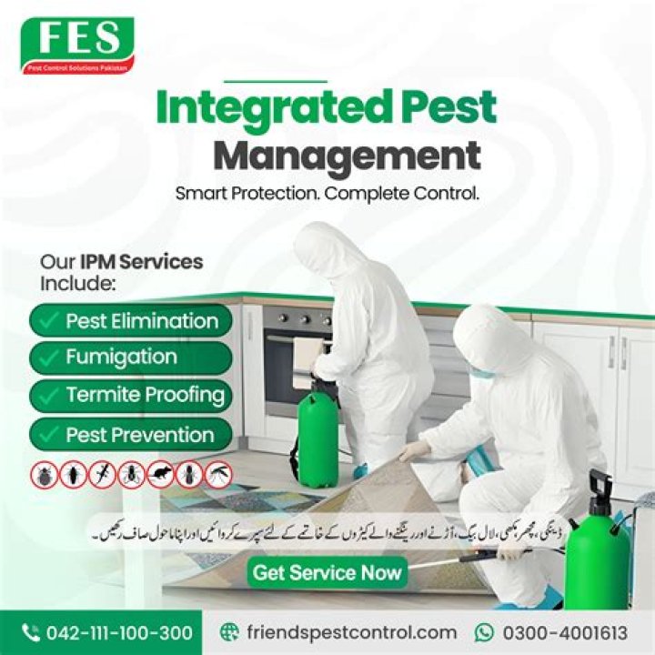 Advanced Pest Elimination: Eradicating Pests With Precision