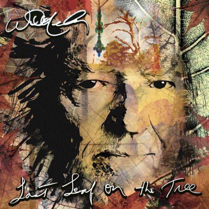 Album Of The Week Willie Nelson's Don't Know A Thing About Love