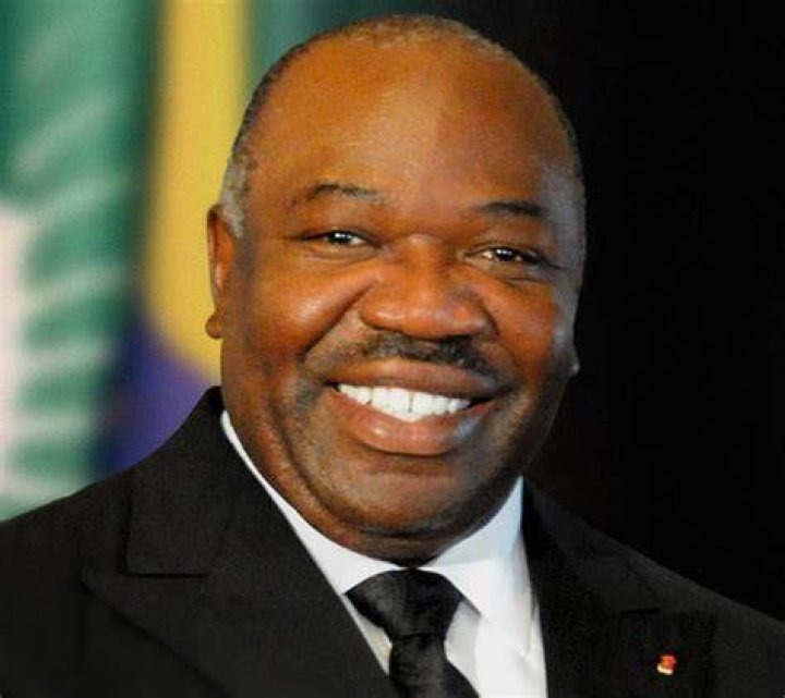 Ali Bongo's Wealth: Exploring The Gabonese President's Net Worth