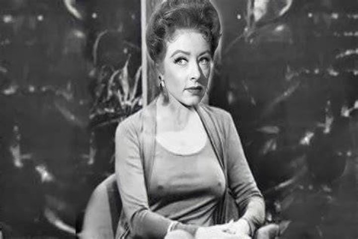 Amanda Blake 【Biography】Age, Net Worth, Height, Widow, Nationality