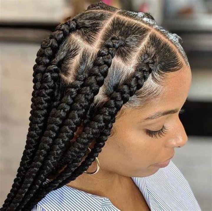 Big Braids Hairstyles 27 Various Styles You Can Try for Yourself