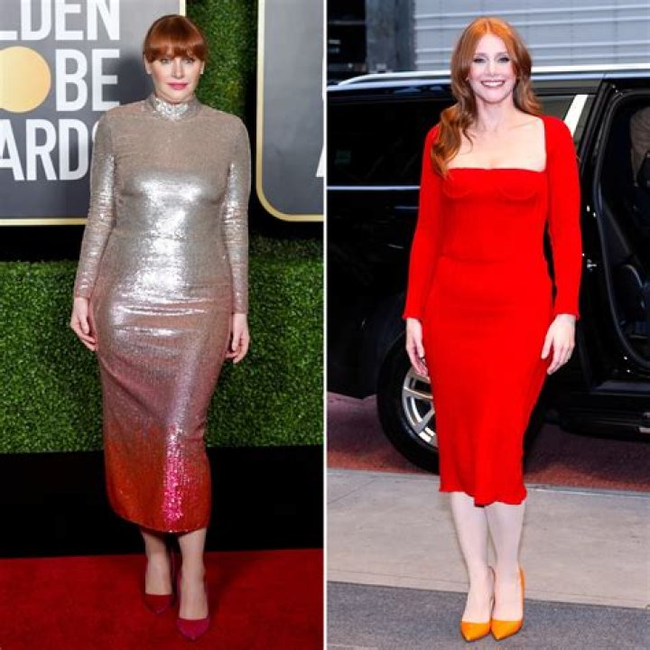 Bryce Dallas Howard's Family Life: A Journey Into Motherhood