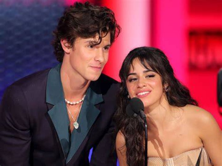 Camila Cabello's Current Relationship Status: Who Is She Dating Now?