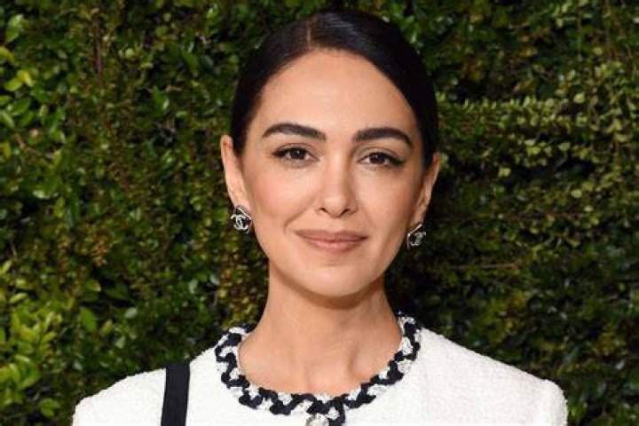 Complete Guide To Nazanin Boniadi's Relationships
