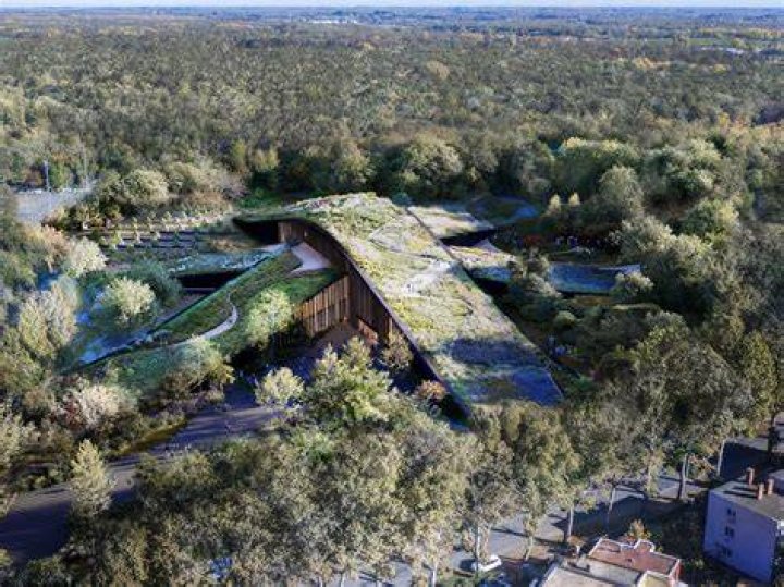 Cooper Ingels: A Pioneer In Sustainable Design