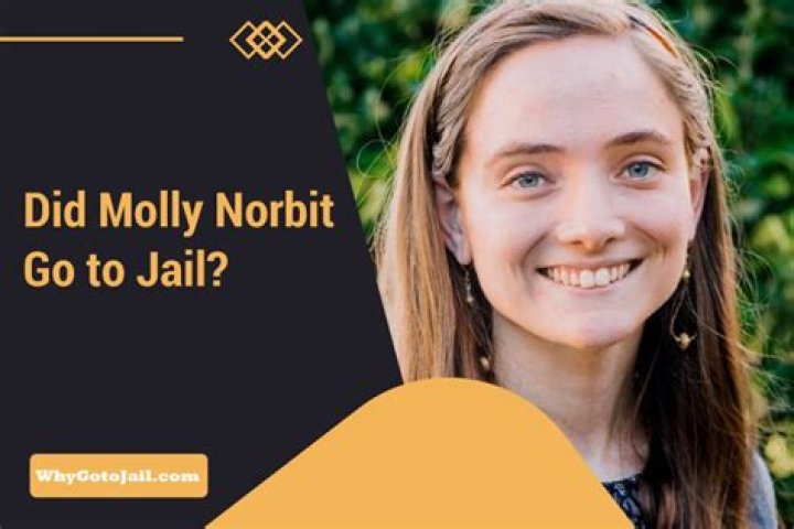 Did Molly Nobblitt Go To Jail: Behind The Headlines