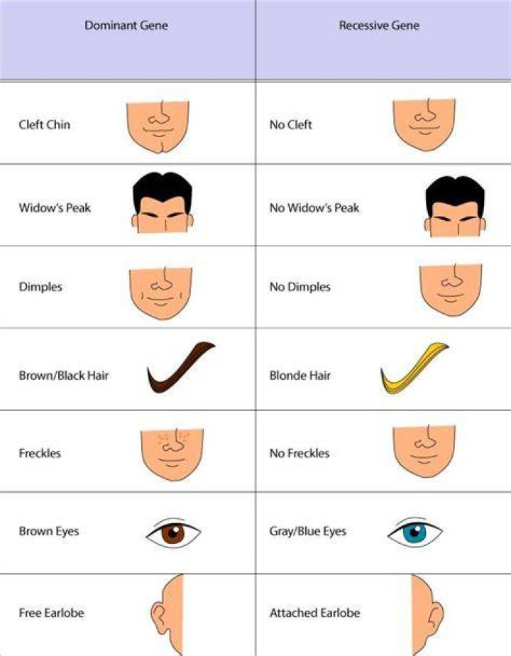 Dominant traits examples simtide