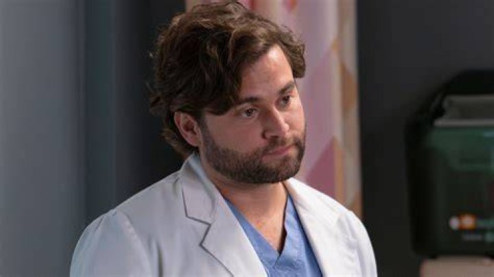 Exceptional Grey's Anatomy Actor: The Allure Of Schmitt