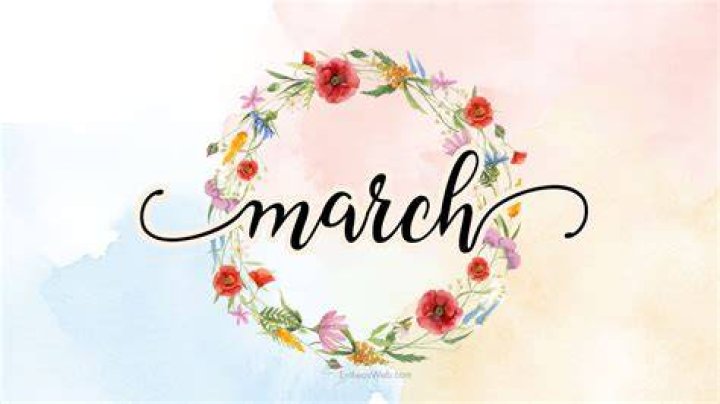 Hallmark&rsquo;s &lsquo;Wedding March 4&rsquo; Time, Cast, & Photos