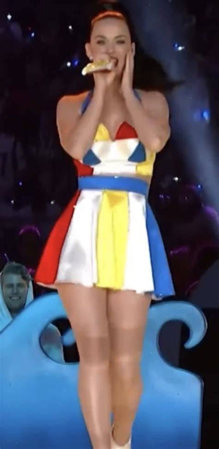 Hot Katy Perry Costumes You Can Buy or Make for Halloween 2015 Katy