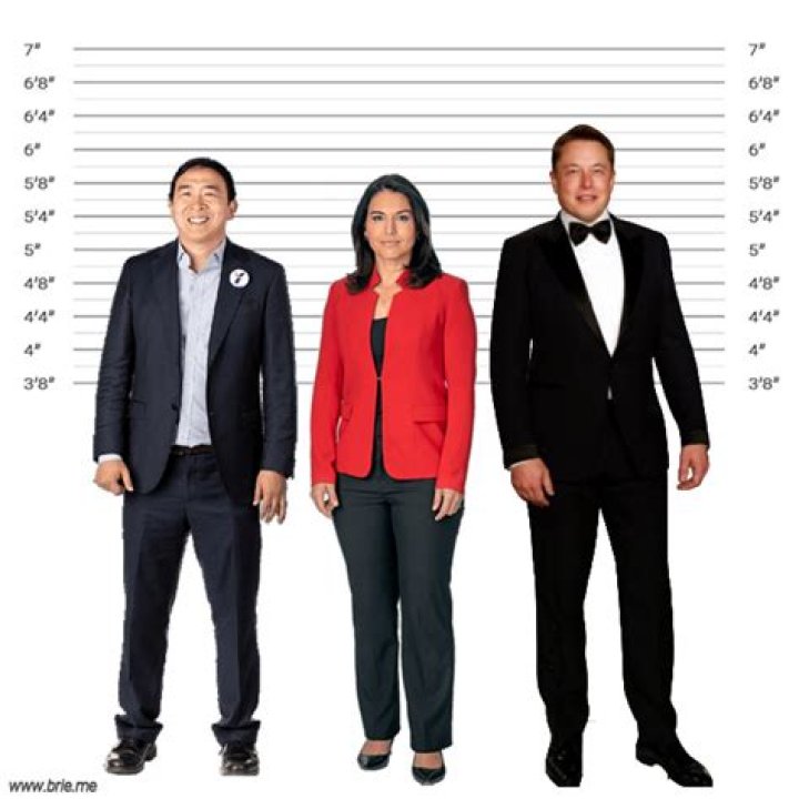 How Old And Tall Is Tulsi Gabbard? Age And Height Explored