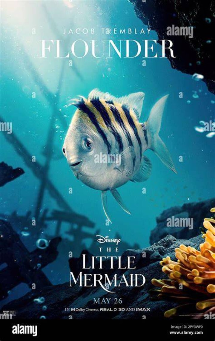 Jacob Tremblay thinks Flounder's design in liveaction Little Mermaid