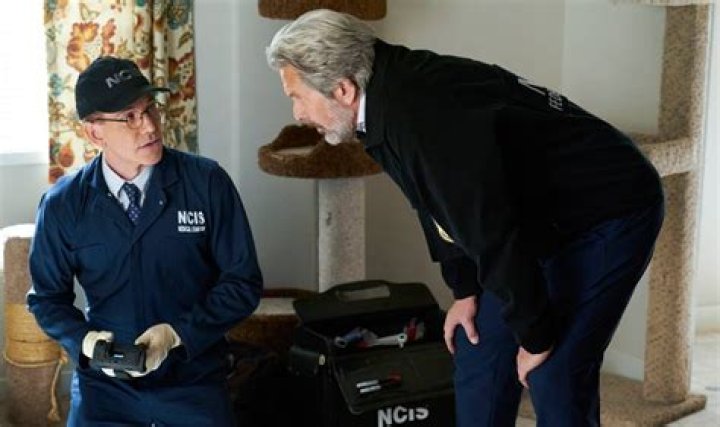 Jimmy Palmer, the star of NCIS, admits that Breanna’s offscreen d3ath