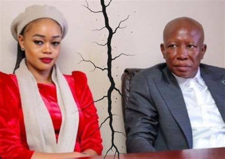Julius Malema And Wife: Exploring The Age Gap Controversy
