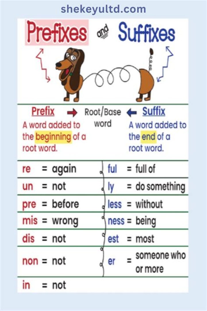 Learn About Aubreigh Wyatt From [Prefix] To [Suffix]