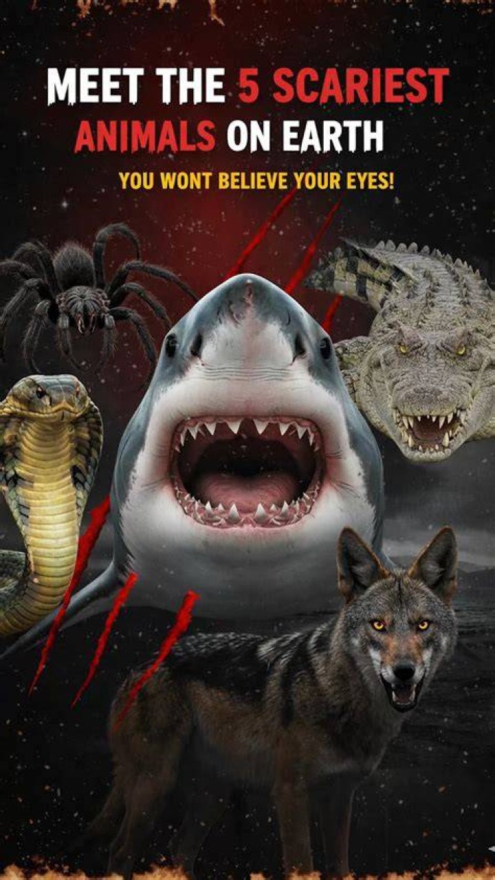Meet The Scariest Animals On Earth