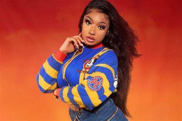 Megan Thee Stallion Siblings Does Megan Thee Stallion Have Brothers