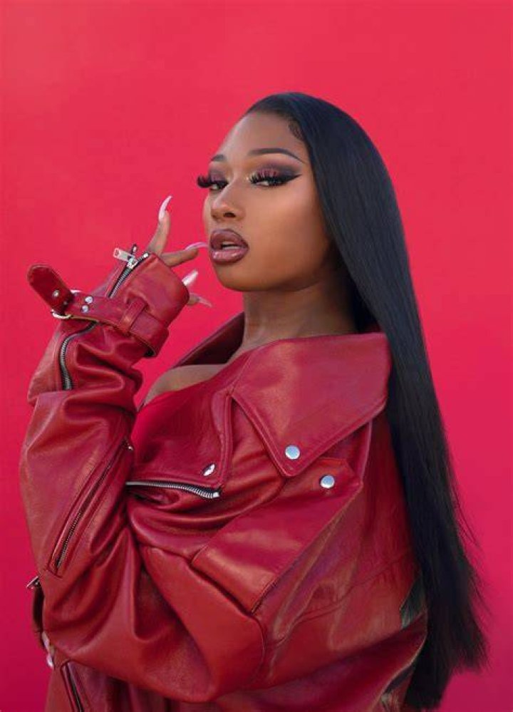 Megan Thee Stallion's Real Hair Is Beautiful