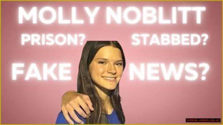 Molly Noblitt Arrested: Latest News And Updates