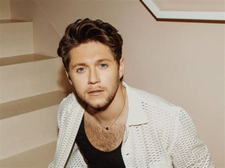 Niall Horan how life and love inspired 'The Show'