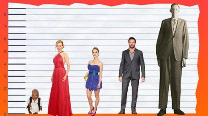 Nicole Kidman Height How Tall is The AmericanAustralian Actress