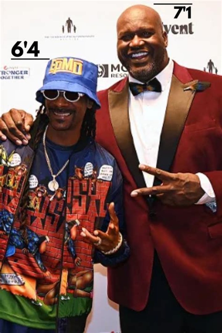 Snoop Dogg's Height: Unveiling The True Stature