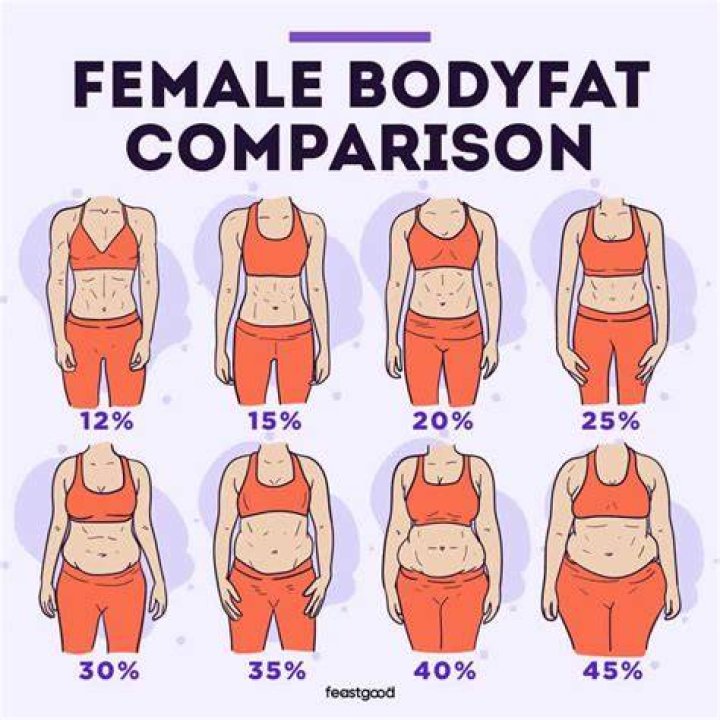 Taylor Swift's Body Fat Percentage: The Truth Revealed