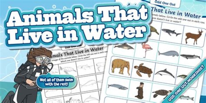 The Complete Guide To Animals That Live In The Water