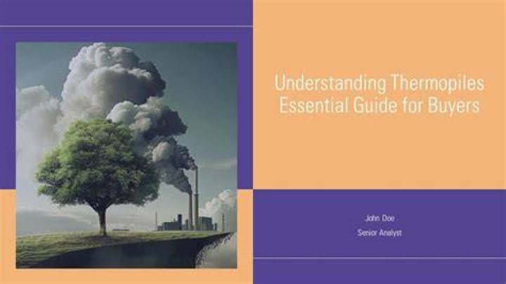 The Essential Guide To Understanding Olan Prenatt