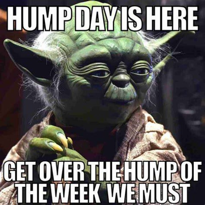 The Funniest Hump Day Memes For Your Wednesday Blues
