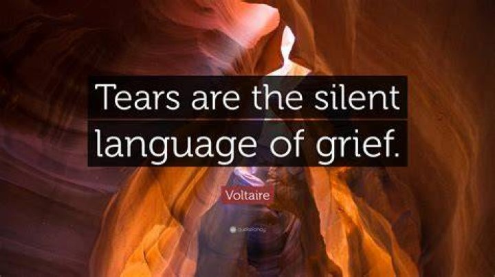 The Silent Language of Grief Words of sympathy, Grief quotes, Words