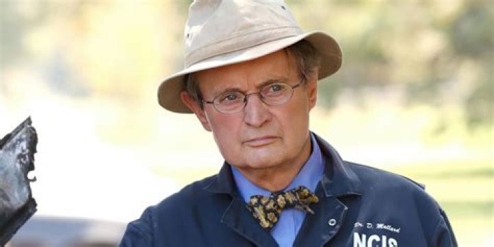 The Tragic Demise Of Ducky From NCIS: Uncovering The Mystery