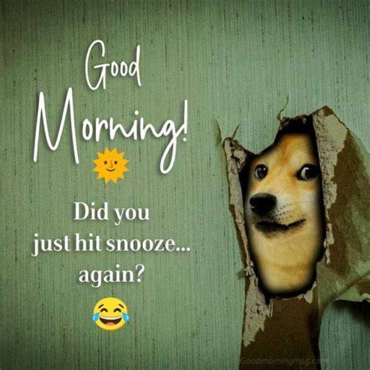 The Ultimate Collection Of Funny Good Morning Memes To Brighten Your Day