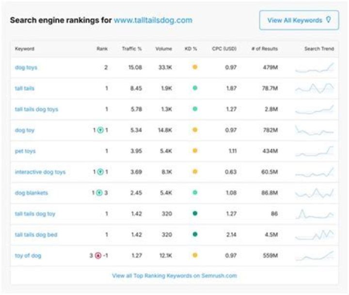 The Ultimate Daily Rank Checker: Track Your Rankings With Ease