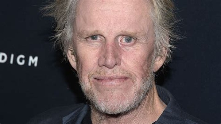 This Is How Gary Busey Lost All Of His Money
