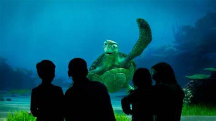 Turtle Talk with Crush How Does It Work? &bull; WDW Vacation Tips