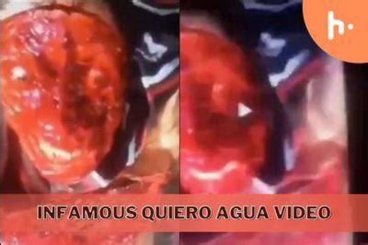 Uncover The Hidden Truths: Explore The Dark Realities Of "Quiero Agua Video Gore"