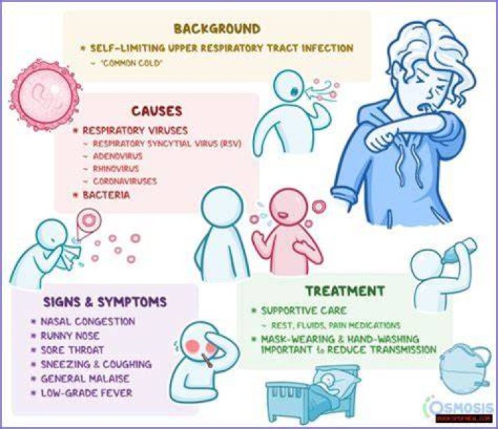 Understanding Hasbulla Disease: Causes, Symptoms, And Treatment