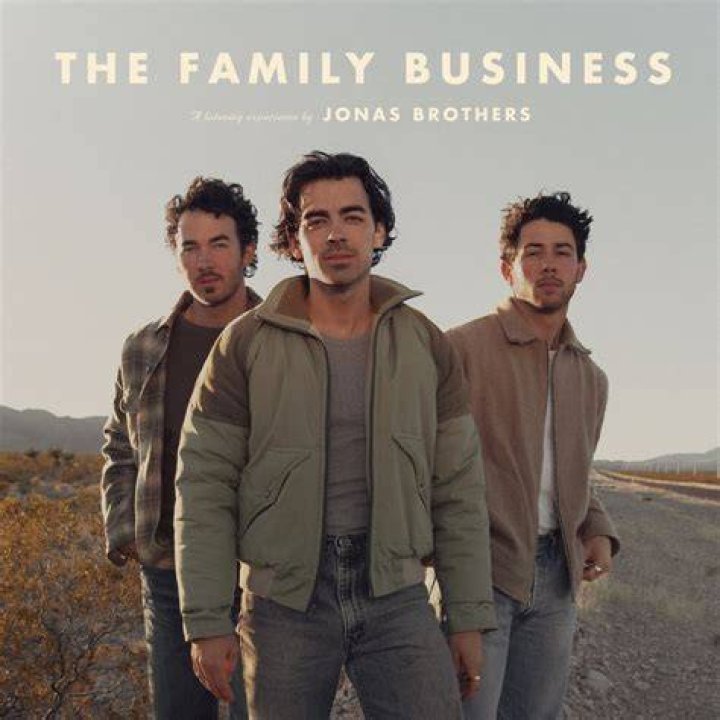 Unraveling The Nationality Of The Pop Sensation: The Jonas Brothers