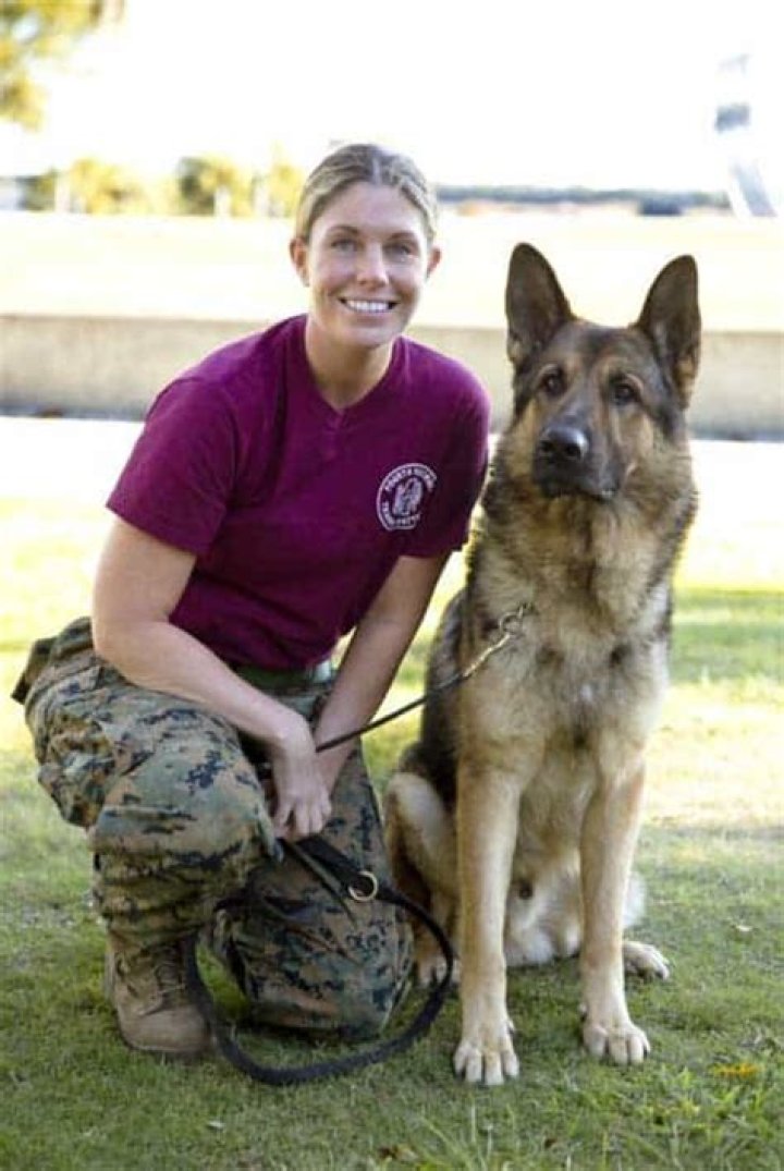 Unraveling The Secrets Of Megan Leavey's Enduring Relationship