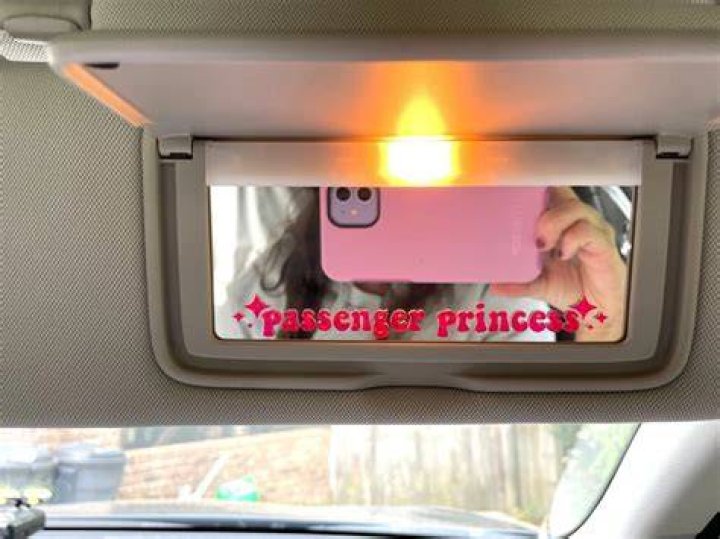What is a passenger princess on TikTok? The US Sun