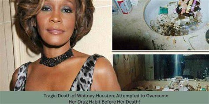 Whitney Houston's Tragic Death: The Cause Revealed