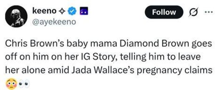 Who's Who: Chris Brown's Baby Mama Drama