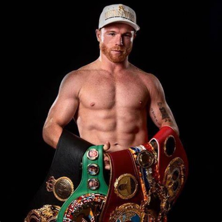 Who is Canelo Alvarez's wife, Fernanda Gomez, and what does she do?