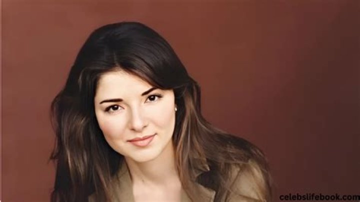 Who Is Kristine Saryan: A Guide To Her History And Impact