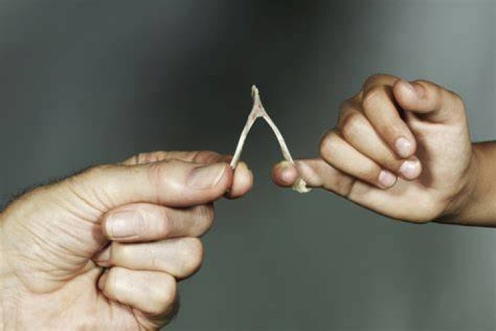 Why Are Wishbones Supposed to be Lucky? HowStuffWorks